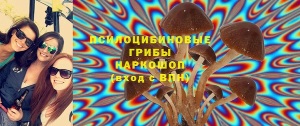 СК Аркадак
