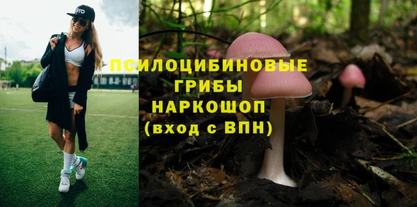 СК Аркадак