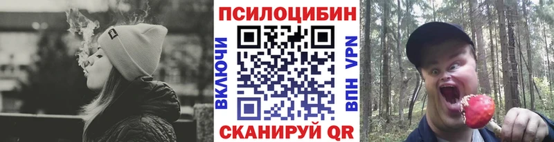 сколько стоит  Байкальск  Галлюциногенные грибы Psilocybine cubensis 